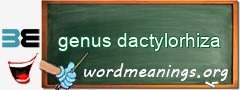 WordMeaning blackboard for genus dactylorhiza